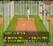 Brian Lara Cricket ’96
